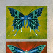 Electric Butterfly